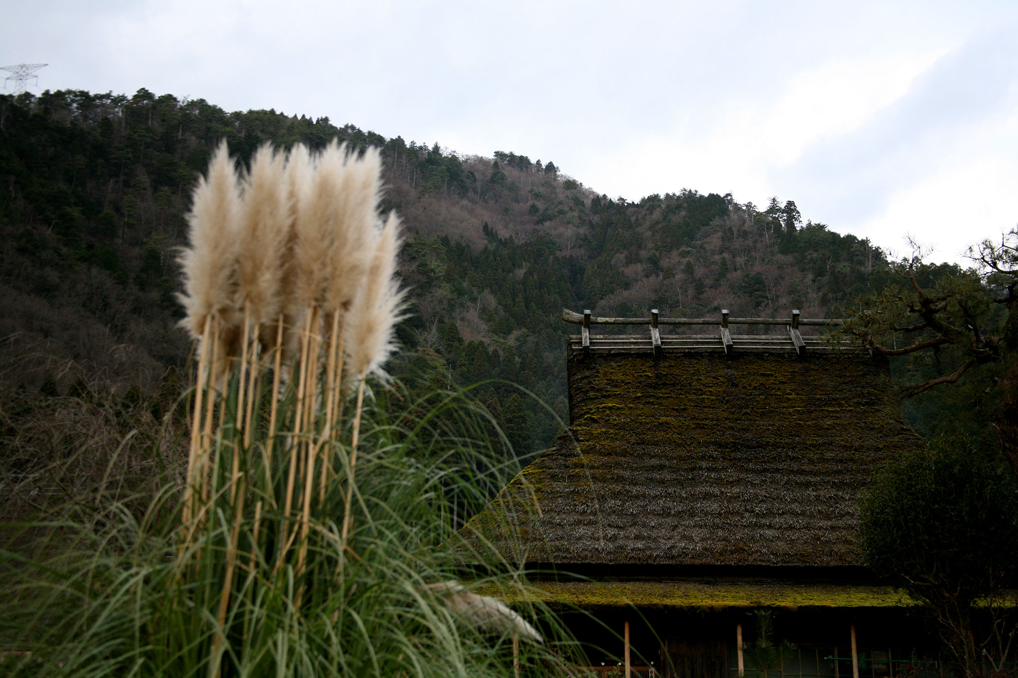 Miyama's thatched village in autumn